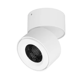 Фото #1 товара Светильник SP-POINT-SURFACE-R85-12W Warm3200-MIX (WH, 15 deg, 230V) (Arlight, IP20 Металл, 5 лет)