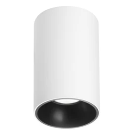 Фото #1 товара Светильник SP-SALT-R95-20W Day4000 (WH-BK, 40 deg, 230V) (Arlight, IP54 Металл, 5 лет)