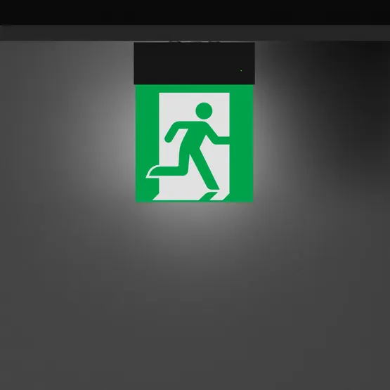 Фото #3 товара Световой указатель EMG-MARK-S-3H-BK (Arlight, IP40 Металл, 5 лет)