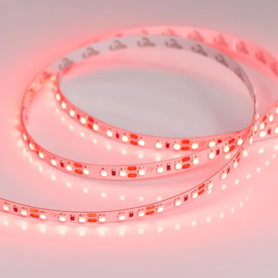 Фото #2 товара Светодиодная лента RT 2-5000 12V Red 2x (3528, 600 LED, LUX) (Arlight, 9.6 Вт/м, IP20)