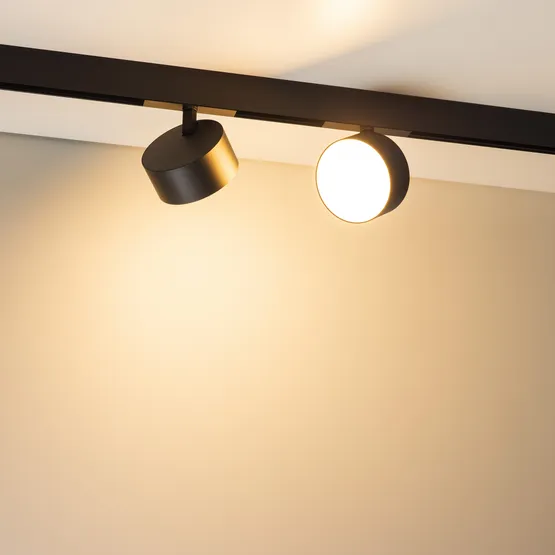 Фото #4 товара Светильник MAG-ORIENT-RONDO-R120-15W Day4000-MIX (BK, 110 deg, 48V, TUYA Zigbee) (Arlight, IP20 Металл, 5 лет)