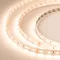 Минифото #1 товара Светодиодная лента ULTRA-5000 24V Warm2700 2xH (5630, 300 LED, LUX) (Arlight, 27 Вт/м, IP20)