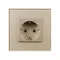 Минифото #2 товара Розетка электрическая с Zigbee управлением SCT-OMALI-EUZB1-PL-GD (240V, 16A, Zigbee) (Arlight, -)
